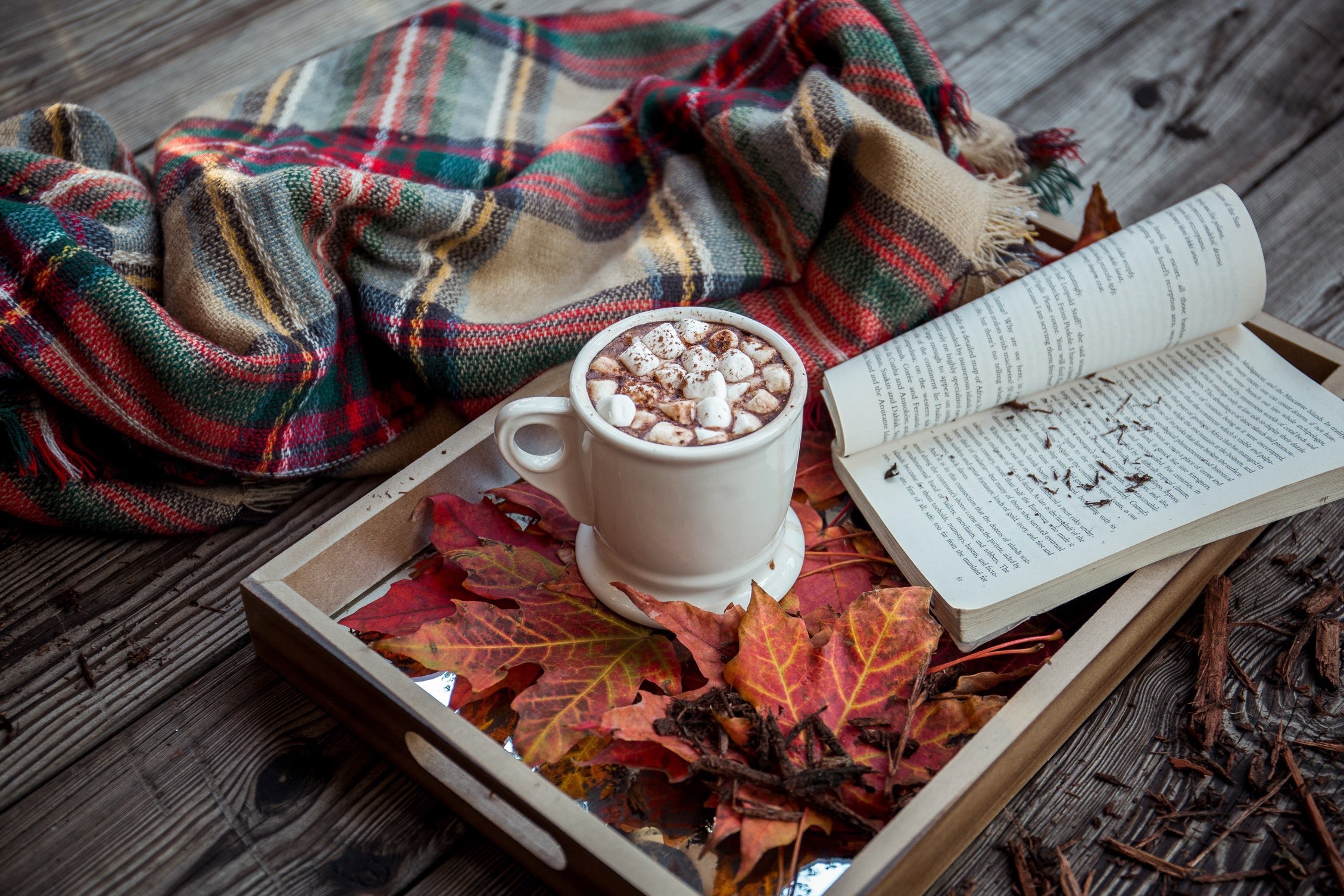 Winter Hot Chocolate
